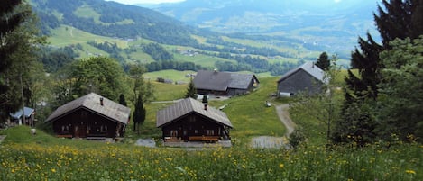 Blick von oben auf das Haus und ins Tal