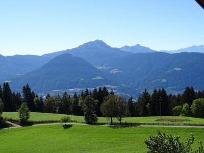 Farm holidays amidst green meadows and forests!