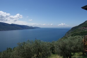 Sekalaista