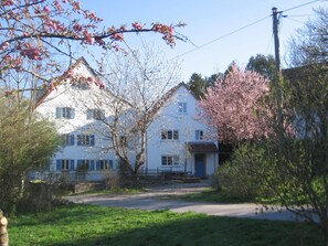 Frühling