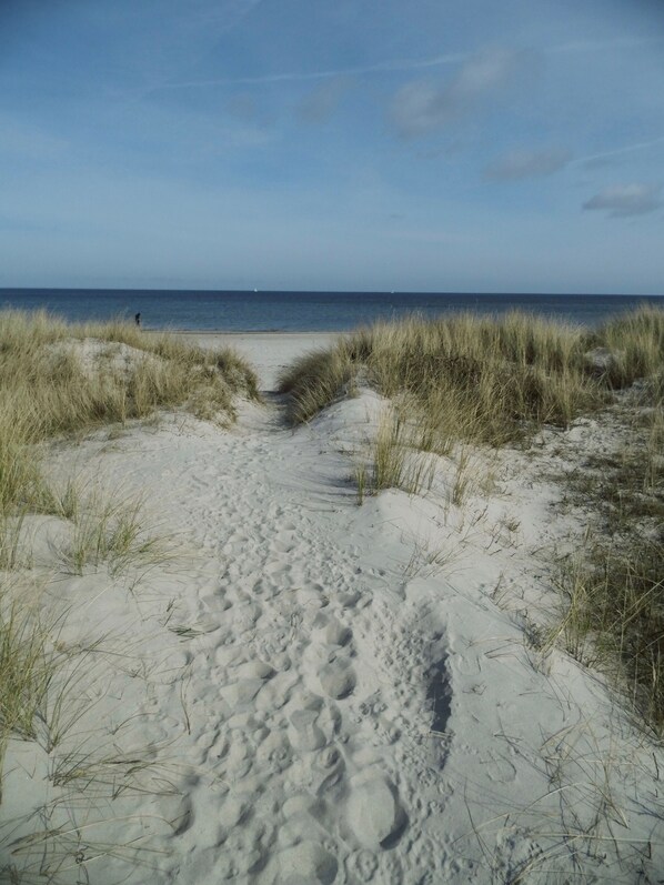 Strand