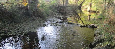 Terrain de l’hébergement 