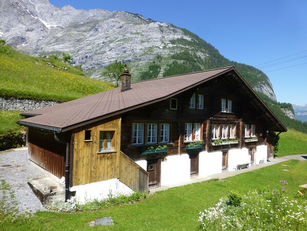 Exteriör