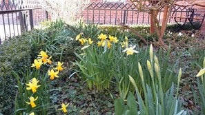 Vorgarten im Frühling