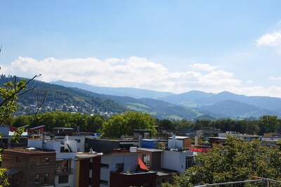 schöne, moderne 2-Zi-Attika-Wohnung im Passivhaus im Ökostadtteil Vauban