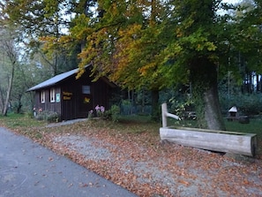 Picture 5