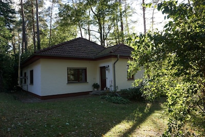 Freistehendes Ferienhaus (4+2 Pers.): Kamin*Steg*Terrasse*Wald*Seezugang*umzäunt