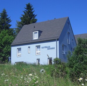 Ferienhaus mit Blumenwiese