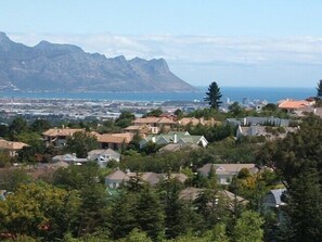 View from the patio