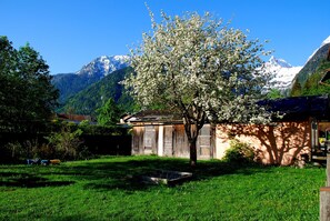 Apfelbaumblühte vor den Steinbergen in unserem Garten.