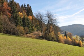 ... der Ausblick von dem Garten