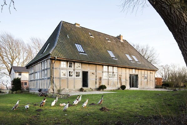 Exterior