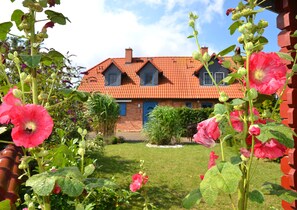 Sommer im Garten