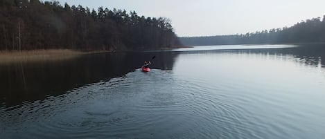 Järvi