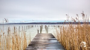 Miscellaneous
