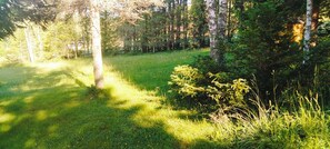 Boendeområde