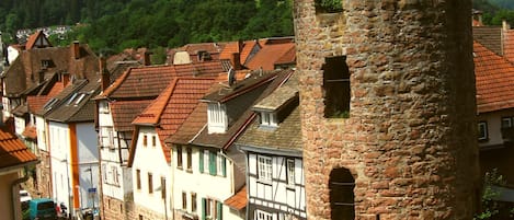 Der Rosenturm, Blick aus dem Fenster