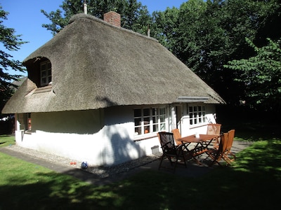 Cozy, peacefully located thatched-roof house with a large garden