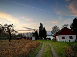 Exteriör