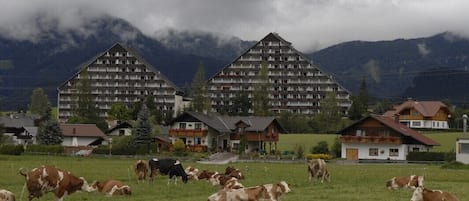 Ansicht der Ferienhäuser von Süden