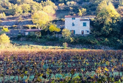 Beautiful holiday home in the south of France