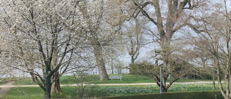 Blick vom Balkon