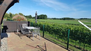 Terrasse mit Blick Seedorf