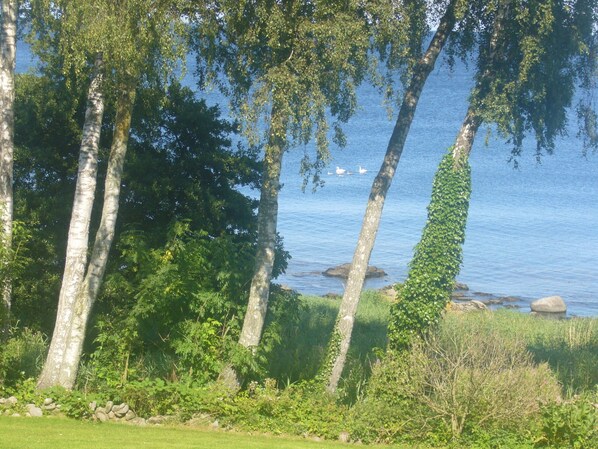 Boendeområde
