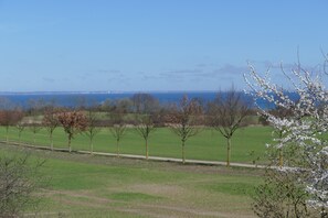 der Fußweg zum Strand