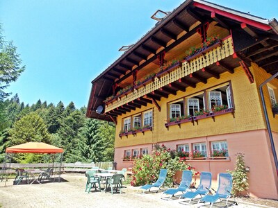 Comfortable property on a hill in the south. Hochschwarzwald with panoramic views