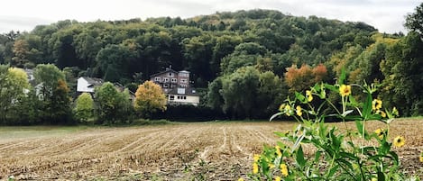 Terrain de l’hébergement 