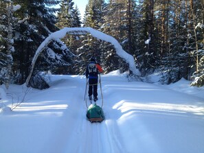 Snow and ski sports