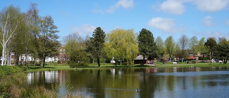 Blick auf den Nieblumer Ortsteich