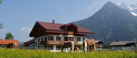 Unser Haus mit den Loferer Steinbergen