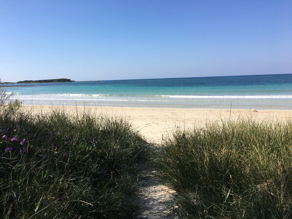 Strand