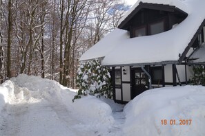 Ferienhaus 594 Neuastenberg 