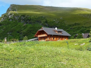 Exteriör