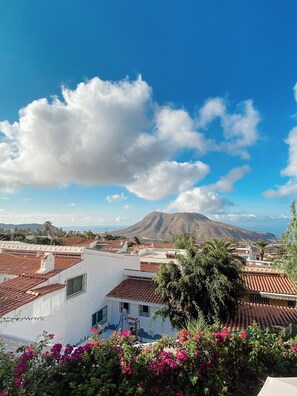 Ausblick vom Balkon 