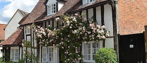 Drake Cottage - rose in bloom and side gate to courtyard garden.