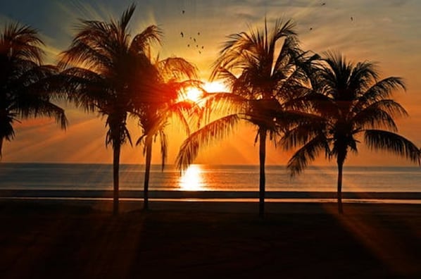 Playa