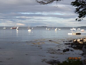 Watching the Boats moored in Lobster Cove from the deck.