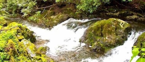 One of the many waterfalls located along the rushing creek