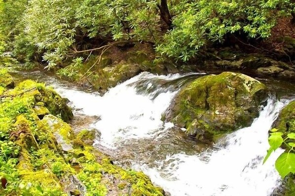 One of the many waterfalls located along the rushing creek