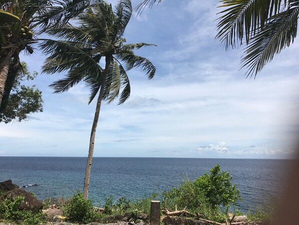 Beach/ocean view