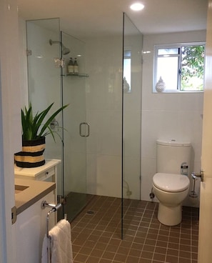 Bathroom with walk in shower, toilet, vanity basin and shaving cabinet. 