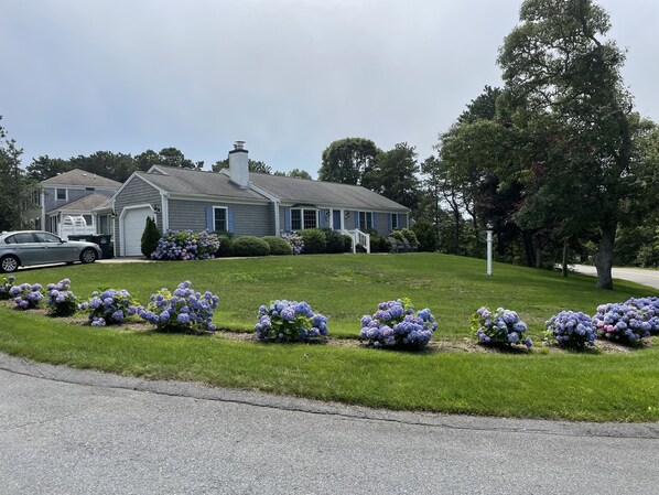 Front of the house