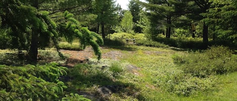 Terrain de l’hébergement 