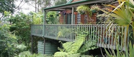 Set amongst tall eucalypts and tropical undergrowth, Treetops is very private.