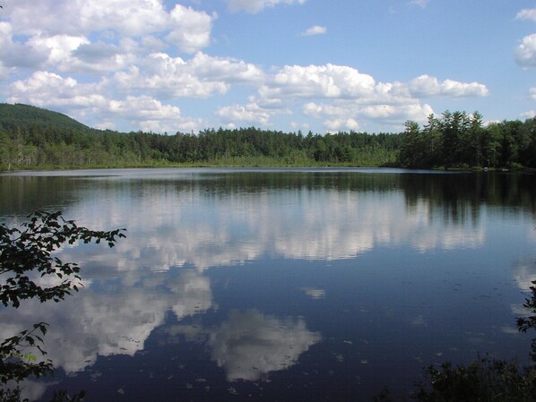 Sjö