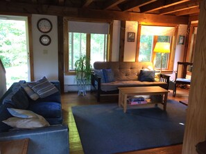 living room, new fold out futon